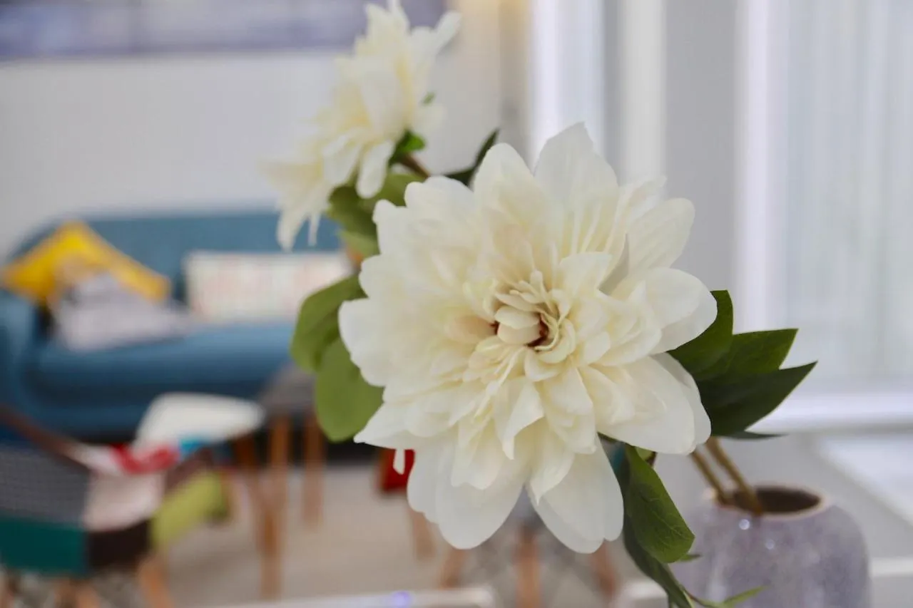 Apartamento Flores Del Mercado Apartment Cadiz