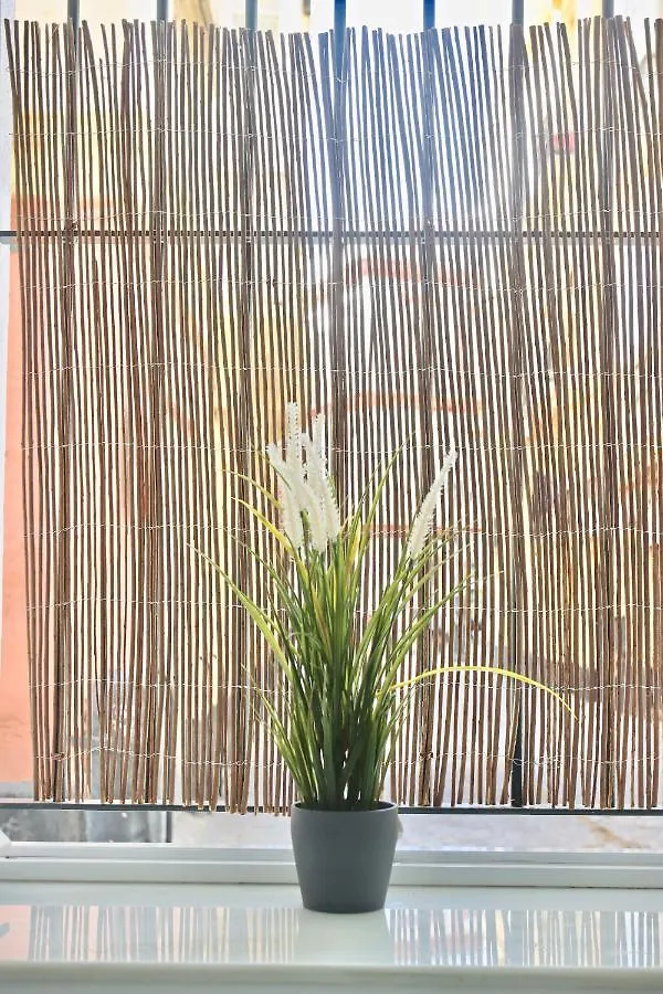 Apartamento Flores Del Mercado Apartment Cadiz